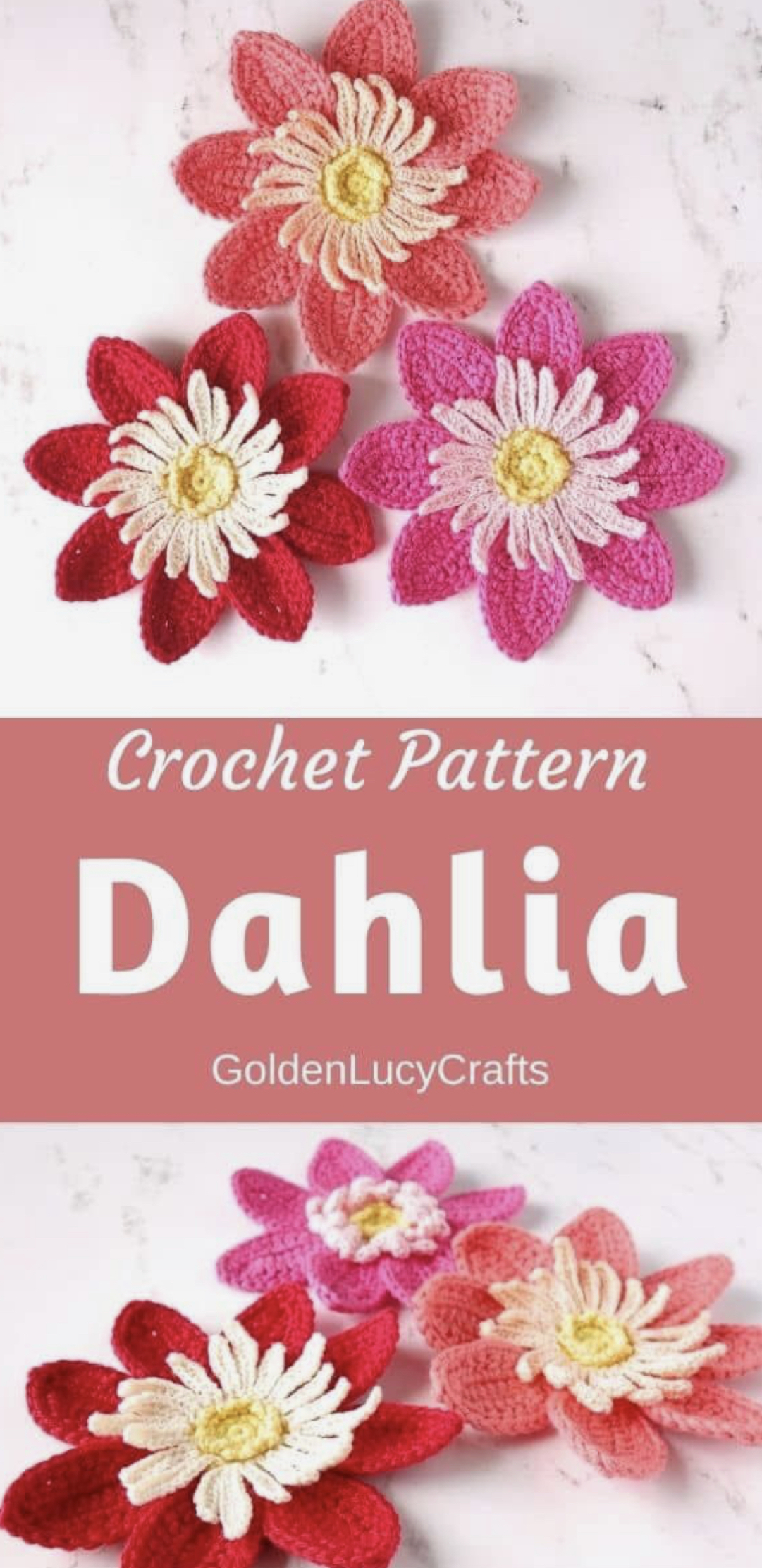 Beautiful Dahlia Flower FREE CROCHET PATTERN Craftorator