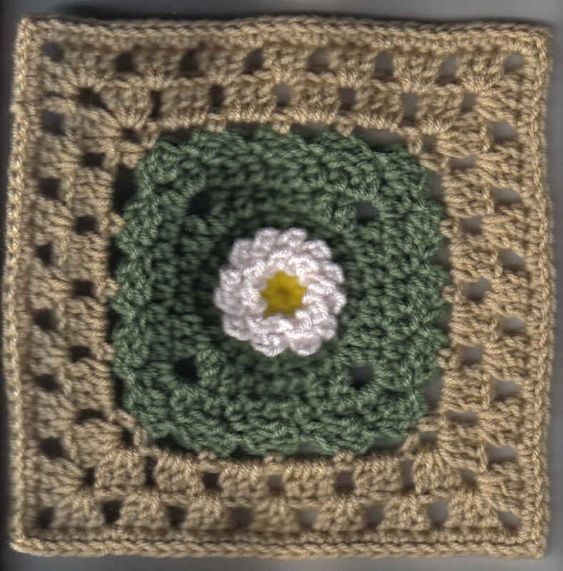 Crochet Flower Trellis Square