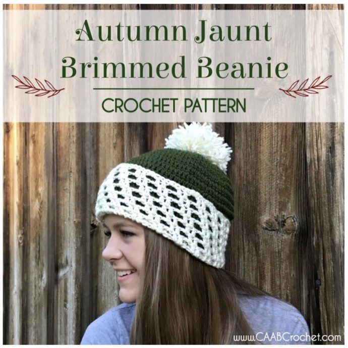 Autumn Jaunt Brimmed Beanie