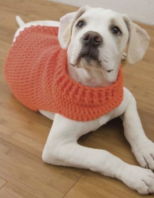 How to Crochet Easy Dog Sweaters