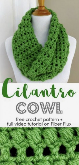 DIY Cilantro Cowl