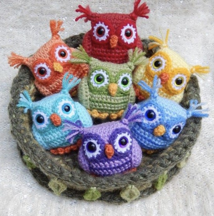 Nesting Rainbow Owls