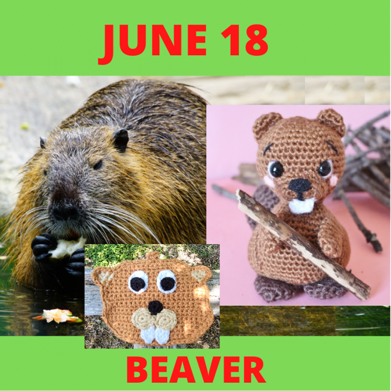 Beaver Crochet Patterns