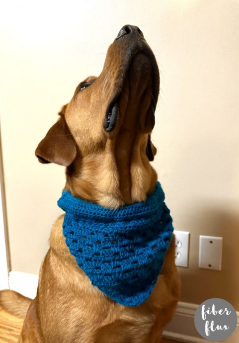 Crochet Safety Pet Bandana