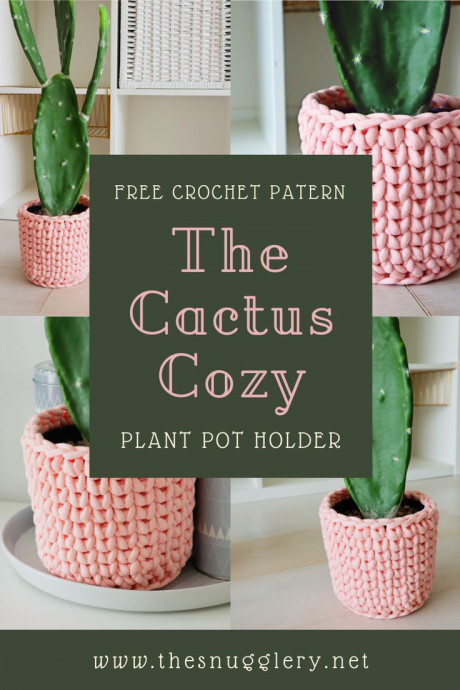 Crochet Cactus Cozy