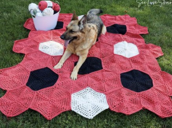 Crochet Happy Hex Picnic Blanket (Free Pattern)