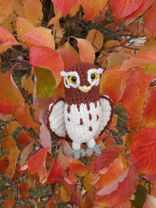 Crochet Gylfie the Elf Owl