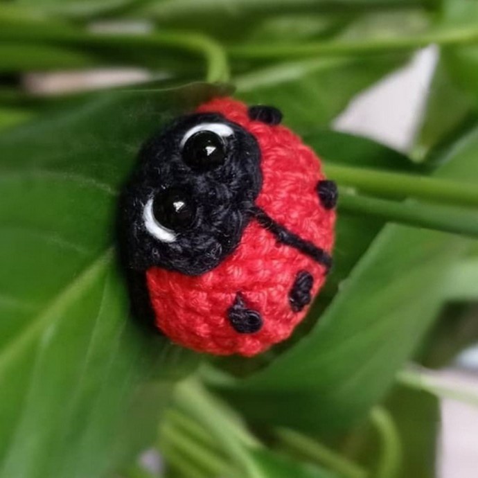 Crochet Ladybug Amigurumi