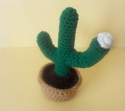 Crochet Beautiful Cactus