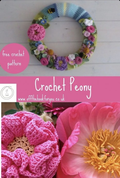 Beautiful Easy Peony