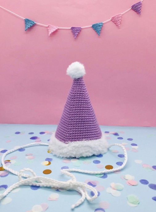 Beautiful Party Hat