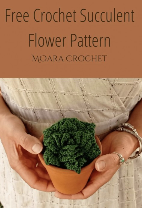 Free Crochet Succulent Flower Pattern