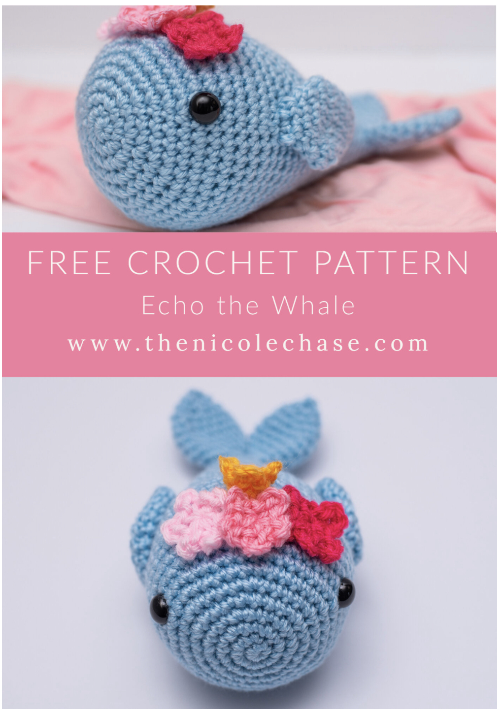 Echo The Beautiful Whale – FREE CROCHET PATTERN — Craftorator