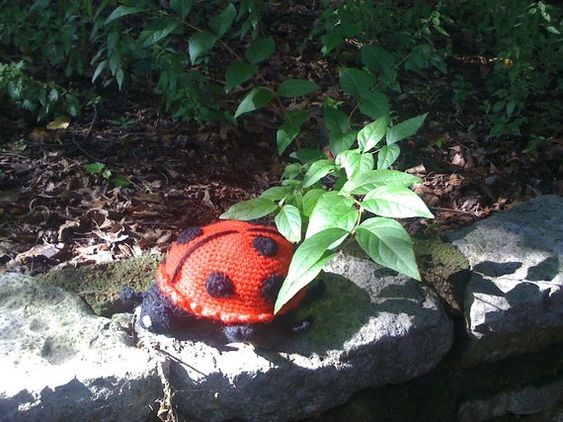 Crochet June The Lady Bug