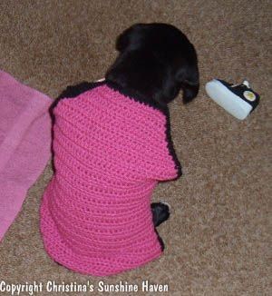 Crochet Puppy Sweater