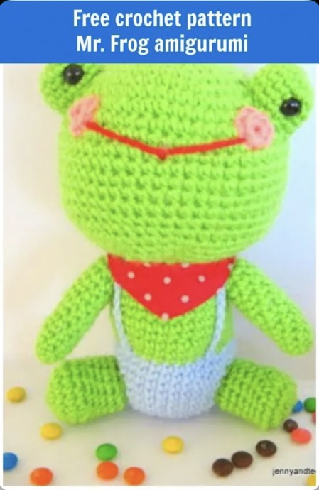 Beautiful Amigurumi Frog