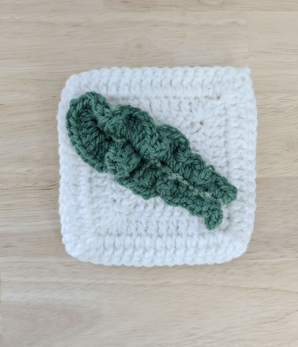 Crochet Kale Square