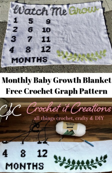 Free Crochet Pattern: Baby Monthly Growth Blanket