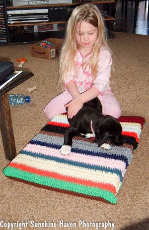 Crochet Dog Bed