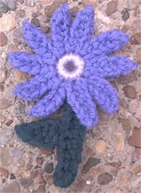 Crochet Fun Flower Fridgie