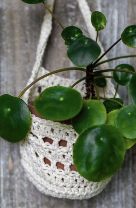 Crochet Wall Plant Hanger Basket (Free Pattern)