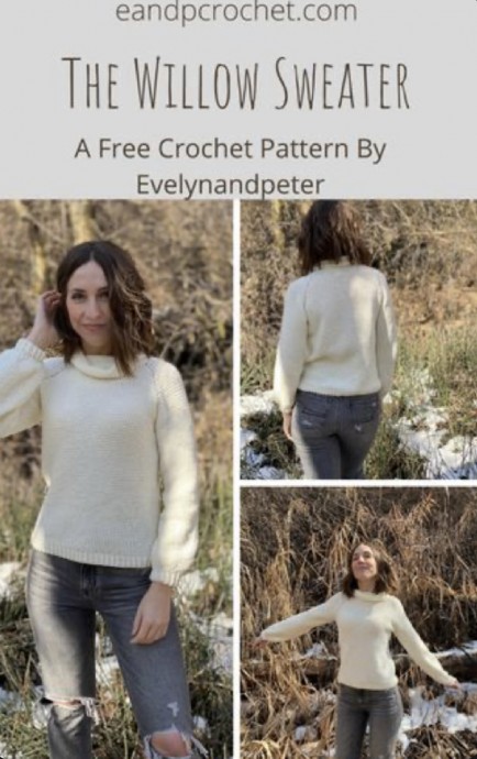 The Willow And Raglan Sweater